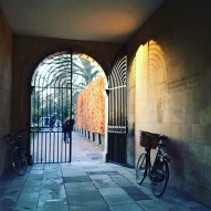 Clare College gate and bike at sundown